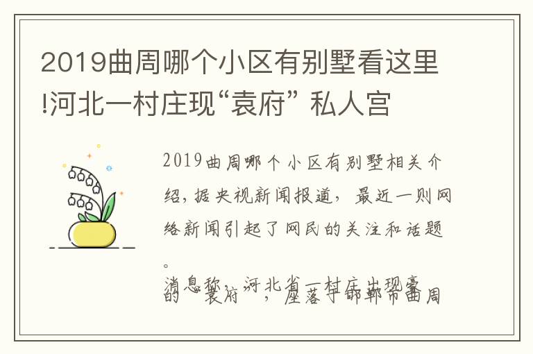 2019曲周哪个小区有别墅看这里!河北一村庄现“袁府” 私人宫殿群 官方：存在违规建设等问题