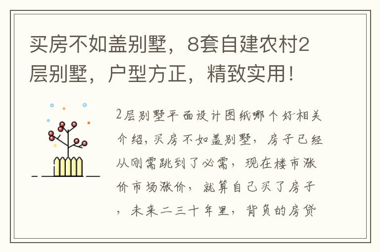 买房不如盖别墅，8套自建农村2层别墅，户型方正，精致实用！