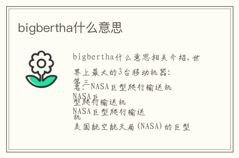 bigbertha什么意思