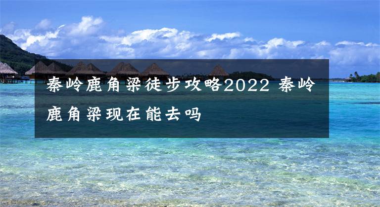 秦岭鹿角梁徒步攻略2022 秦岭鹿角梁现在能去吗