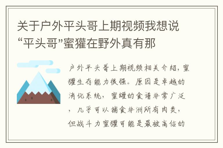 关于户外平头哥上期视频我想说“平头哥"蜜獾在野外真有那么强吗？真相在这里-户外动物知识