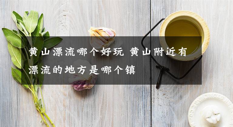 黄山漂流哪个好玩 黄山附近有漂流的地方是哪个镇文章配图