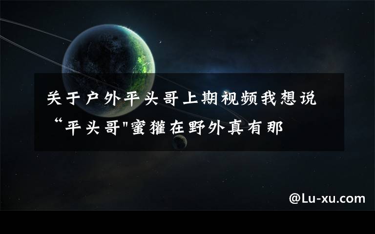 关于户外平头哥上期视频我想说“平头哥"蜜獾在野外真有那么强吗？真相在这里-户外动物知识