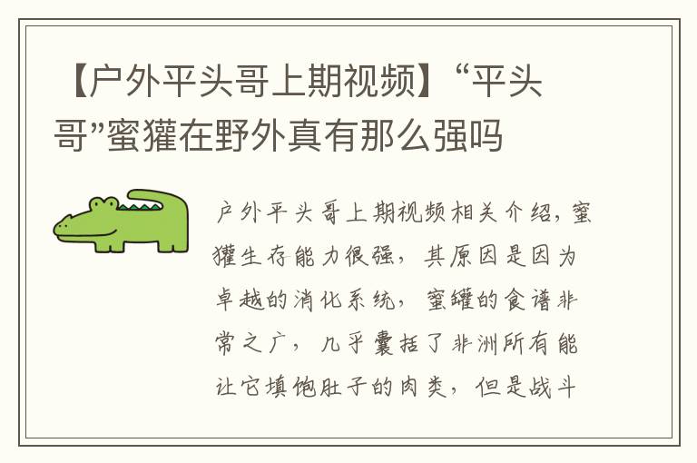 【户外平头哥上期视频】“平头哥"蜜獾在野外真有那么强吗？真相在这里-户外动物知识