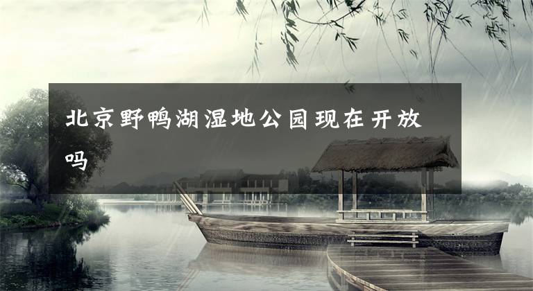 北京野鸭湖湿地公园现在开放吗