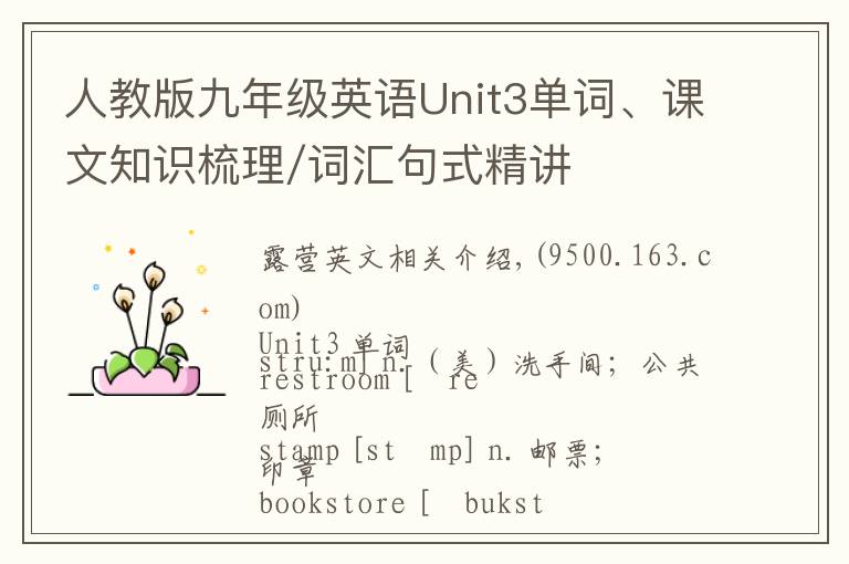 人教版九年级英语Unit3单词、课文知识梳理/词汇句式精讲