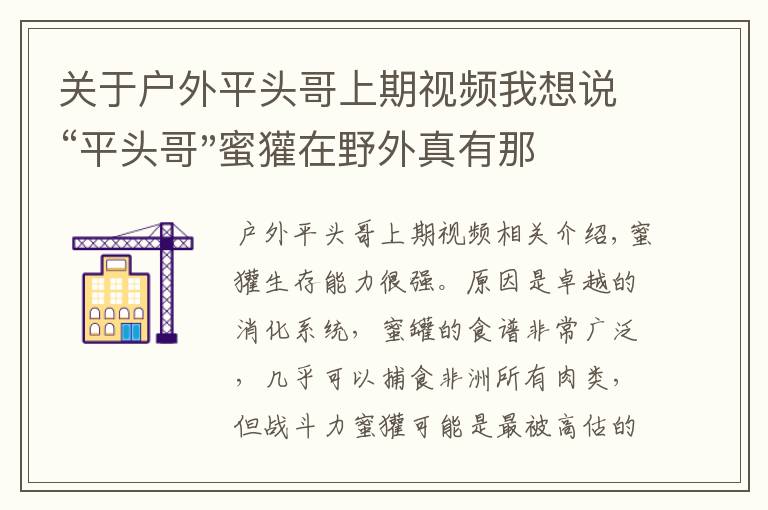 关于户外平头哥上期视频我想说“平头哥"蜜獾在野外真有那么强吗？真相在这里-户外动物知识