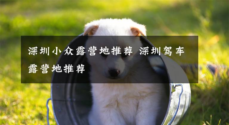 深圳小众露营地推荐 深圳驾车露营地推荐文章配图