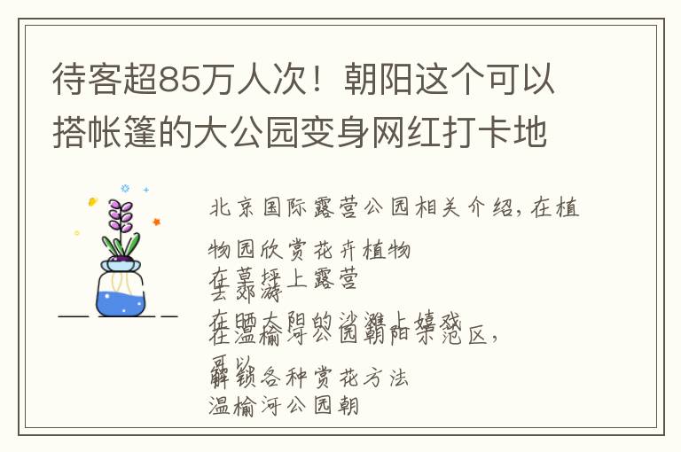 待客超85万人次！朝阳这个可以搭帐篷的大公园变身网红打卡地