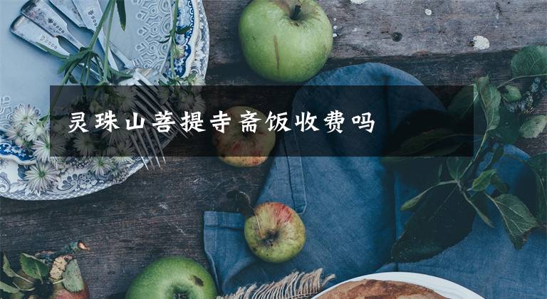 灵珠山菩提寺斋饭收费吗文章配图