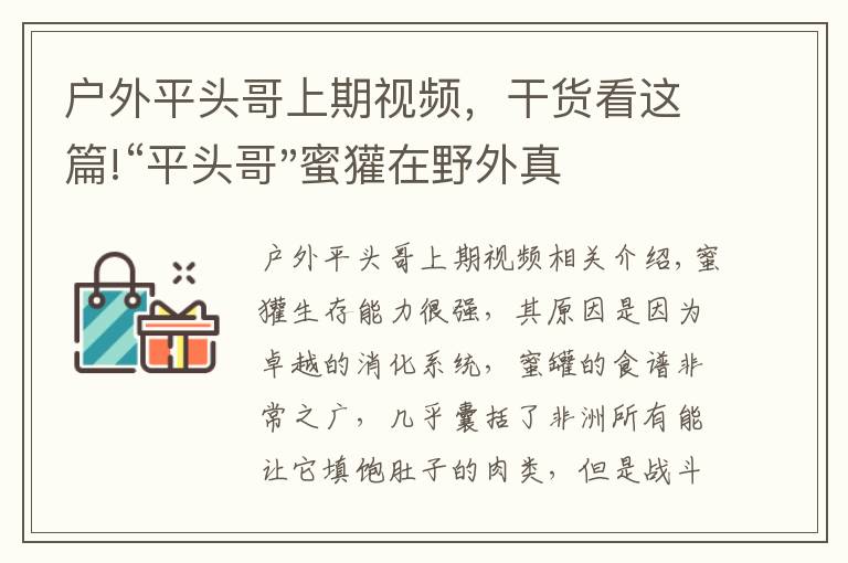 户外平头哥上期视频，干货看这篇!“平头哥"蜜獾在野外真有那么强吗？真相在这里-户外动物知识