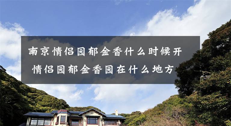 南京情侣园郁金香什么时候开 情侣园郁金香园在什么地方文章配图