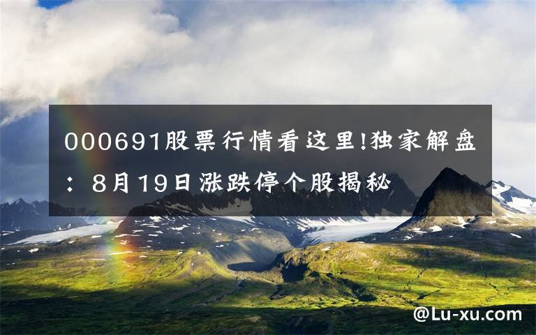 000691股票行情看这里!独家解盘：8月19日涨跌停个股揭秘