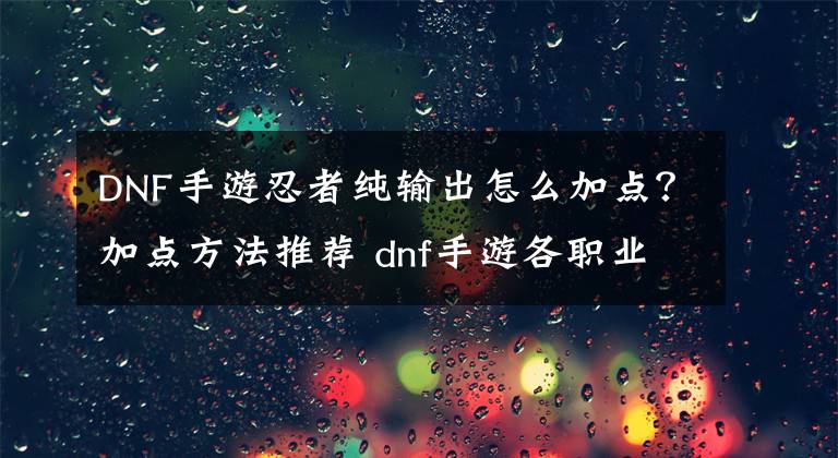 DNF手游忍者纯输出怎么加点？加点方法推荐 dnf手游各职业加点