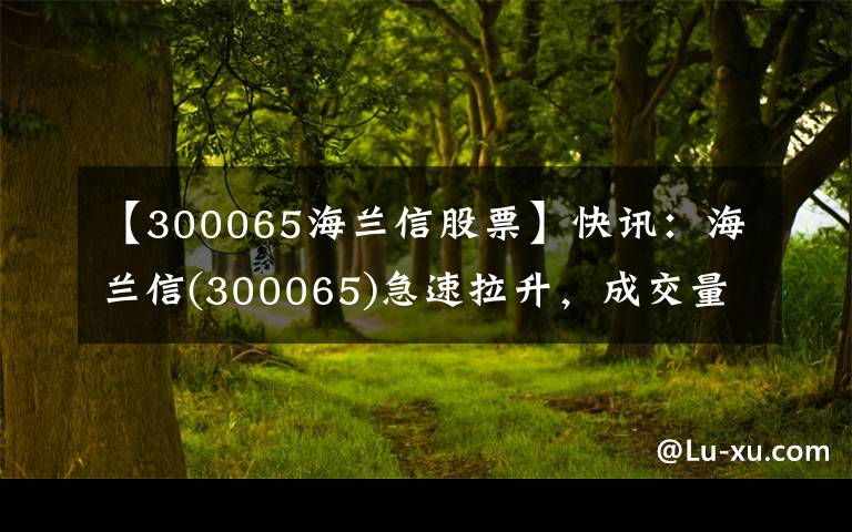 【300065海兰信股票】快讯：海兰信(300065)急速拉升，成交量放大