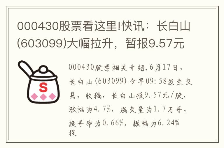 000430股票看这里!快讯：长白山(603099)大幅拉升，暂报9.57元