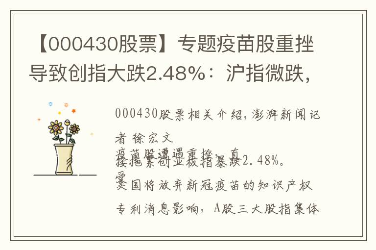 【000430股票】专题疫苗股重挫导致创指大跌2.48%：沪指微跌，个股涨多跌少