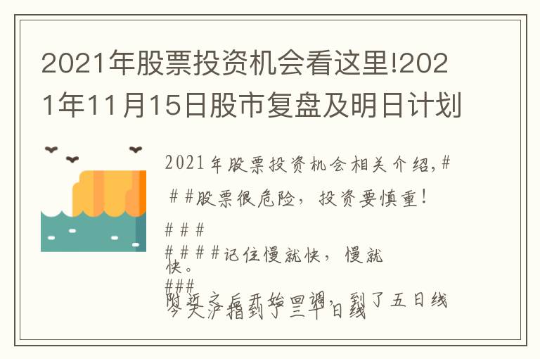 2021年股票投资机会看这里!2021年11月15日股市复盘及明日计划