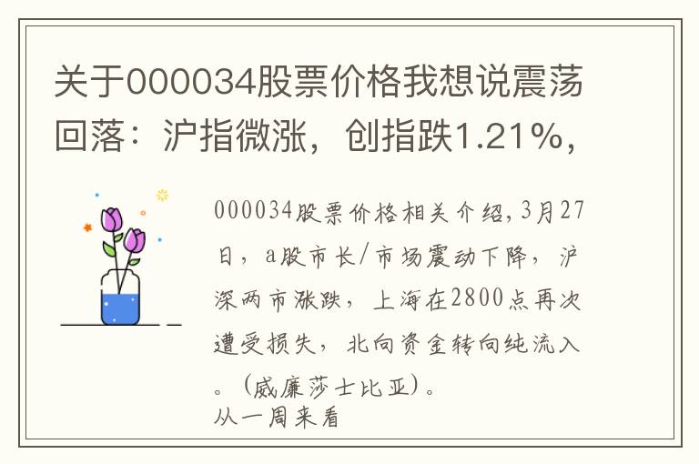 关于000034股票价格我想说震荡回落：沪指微涨，创指跌1.21%，北向资金转向净流入