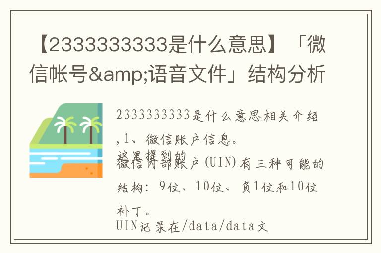 【2333333333是什么意思】「微信帐号&语音文件」结构分析