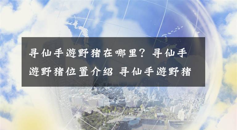 寻仙手游野猪在哪里？寻仙手游野猪位置介绍 寻仙手游野猪位置