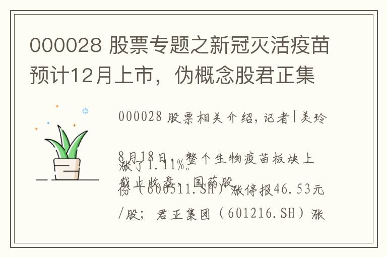 000028 股票专题之新冠灭活疫苗预计12月上市，伪概念股君正集团、国药股份封板