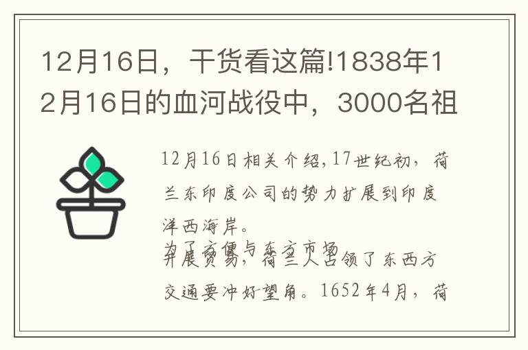 12月16日，干货看这篇!1838年12月16日的血河战役中，3000名祖鲁武士战死，对方3人受伤