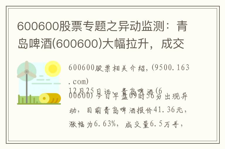 600600股票专题之异动监测：青岛啤酒(600600)大幅拉升，成交量放大