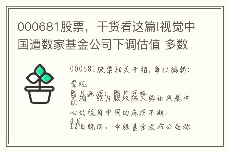 000681股票，干货看这篇!视觉中国遭数家基金公司下调估值 多数给了两个跌停