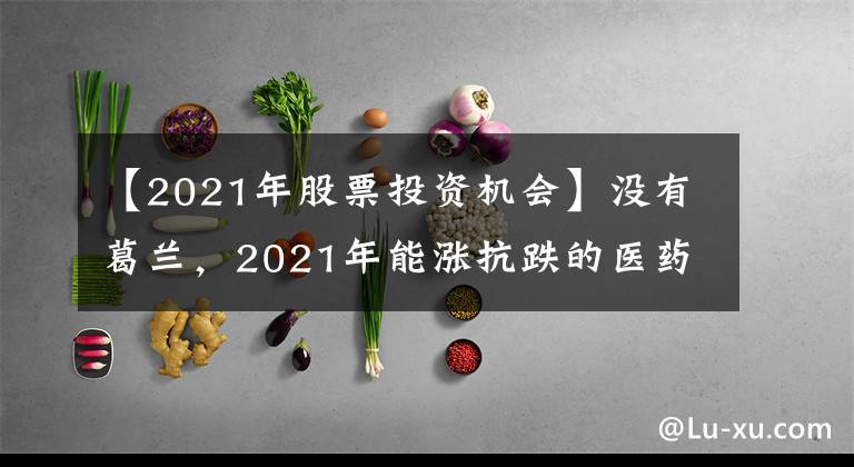 【2021年股票投资机会】没有葛兰，2021年能涨抗跌的医药牛基全在这里