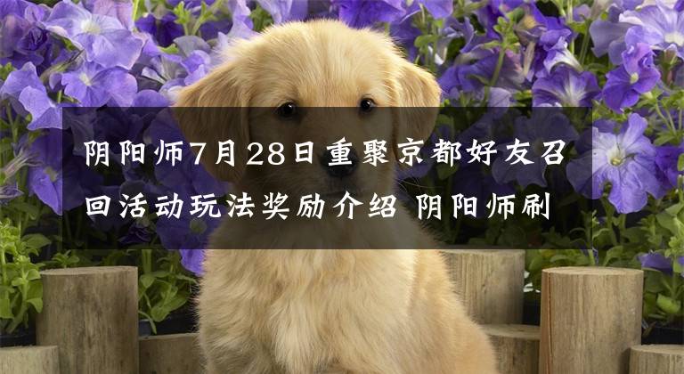 阴阳师7月28日重聚京都好友召回活动玩法奖励介绍 阴阳师刷活动最快阵容