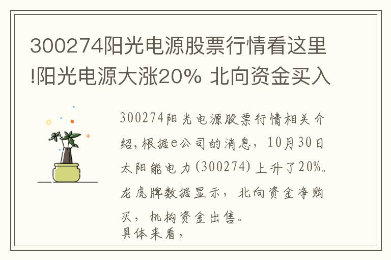 300274阳光电源股票行情看这里!阳光电源大涨20% 北向资金买入，机构资金卖出