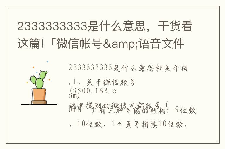 2333333333是什么意思，干货看这篇!「微信帐号&语音文件」结构分析