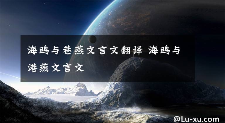 海鸥与巷燕文言文翻译 海鸥与港燕文言文文章配图