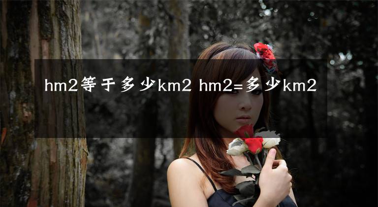 hm2等于多少km2 hm2=多少km2