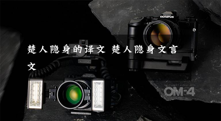 楚人隐身的译文 楚人隐身文言文文章配图