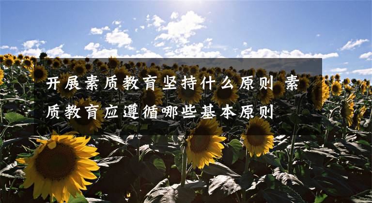 开展素质教育坚持什么原则 素质教育应遵循哪些基本原则文章配图