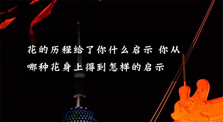 花的历程给了你什么启示 你从哪种花身上得到怎样的启示