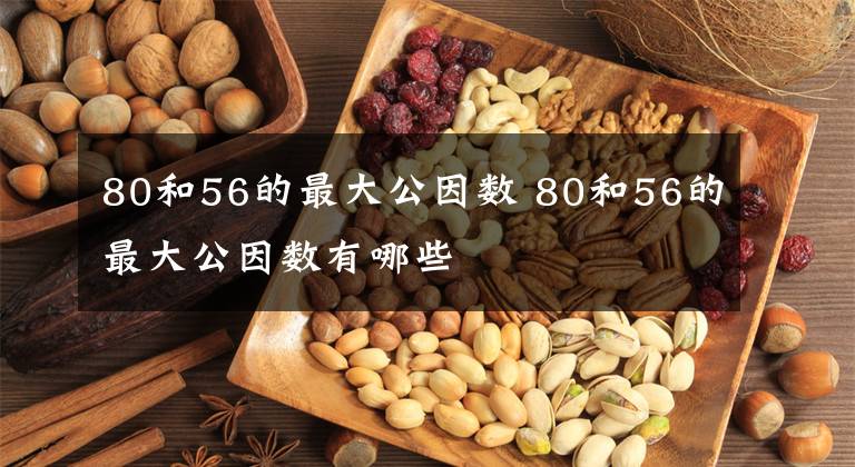 80和56的最大公因数 80和56的最大公因数有哪些文章配图