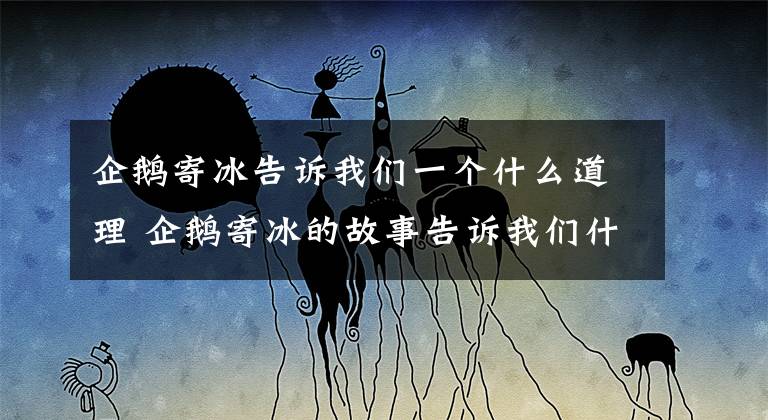 企鹅寄冰告诉我们一个什么道理 企鹅寄冰的故事告诉我们什么道理文章配图