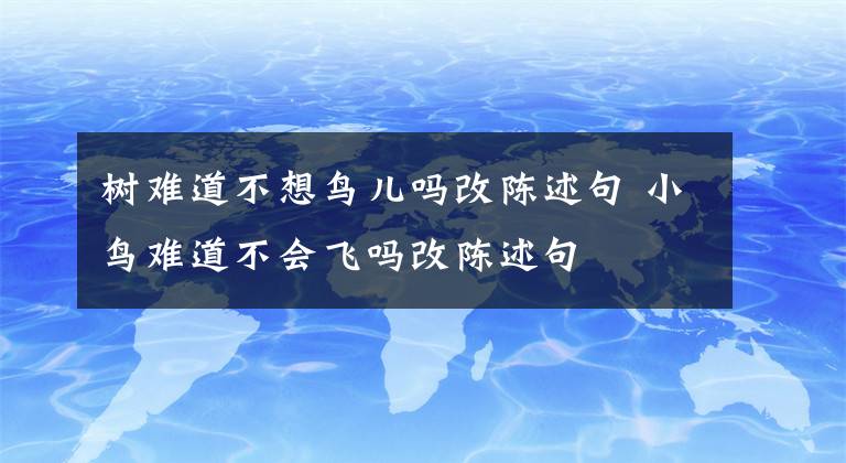 树难道不想鸟儿吗改陈述句 小鸟难道不会飞吗改陈述句