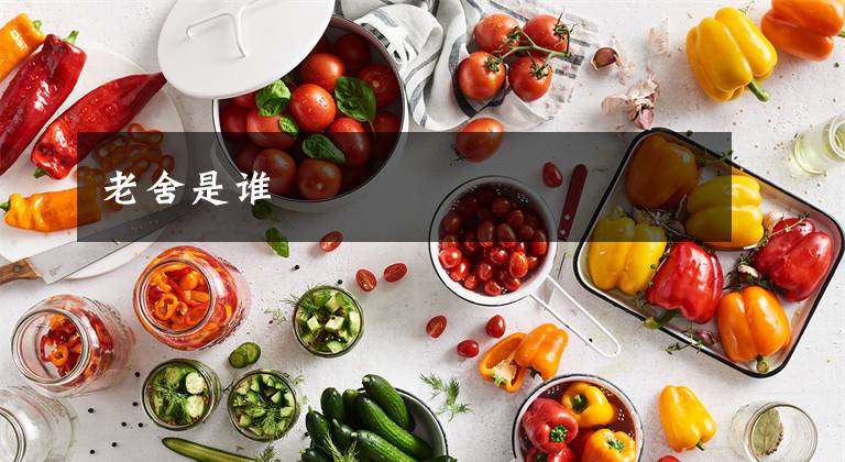 老舍是谁文章配图
