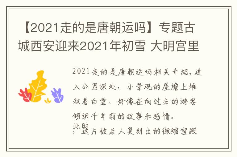 【2021走的是唐朝运吗】专题古城西安迎来2021年初雪 大明宫里别样雪景重现大唐气韵