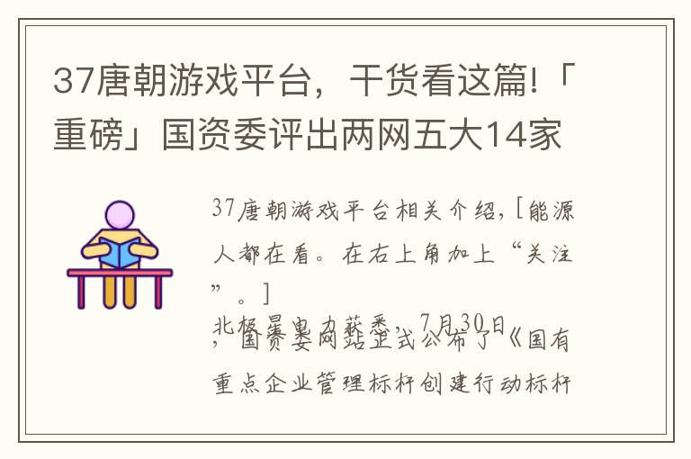 37唐朝游戏平台，干货看这篇!「重磅」国资委评出两网五大14家标杆企业——“三个标杆”名单正式公布