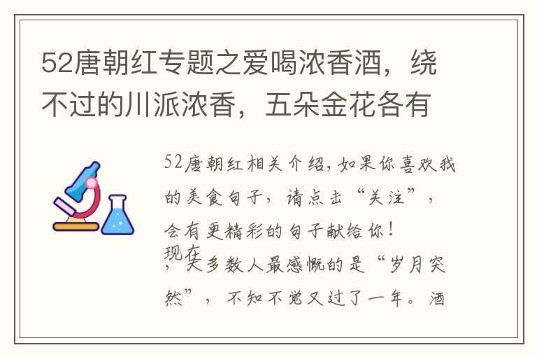 52唐朝红专题之爱喝浓香酒，绕不过的川派浓香，五朵金花各有特色，看完明白了