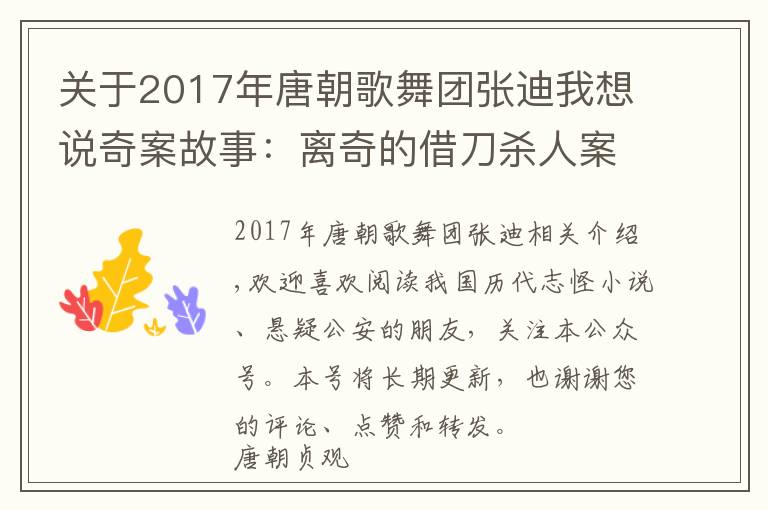 关于2017年唐朝歌舞团张迪我想说奇案故事：离奇的借刀杀人案