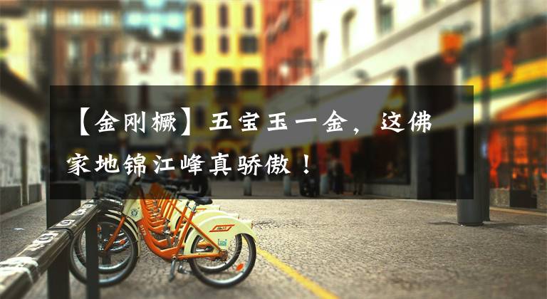 【金刚橛】五宝玉一金，这佛家地锦江峰真骄傲！文章配图