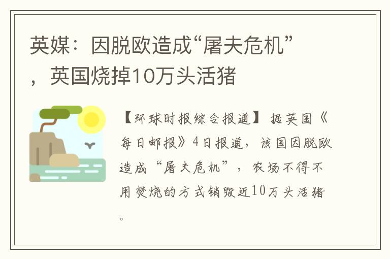 英媒：因脱欧造成“屠夫危机”，英国烧掉10万头活猪