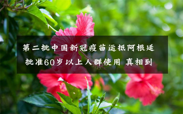 第二批中国新冠疫苗运抵阿根廷 批准60岁以上人群使用 真相到底是怎样的？