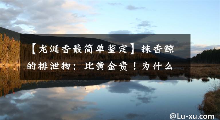 【龙涎香最简单鉴定】抹香鲸的排泄物：比黄金贵！为什么拿出来的不香，拿出来的不香？文章配图
